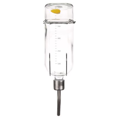 Flamingo Trinkflasche Athina Glas Nager