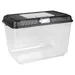Flamingo Aquarium Goldie