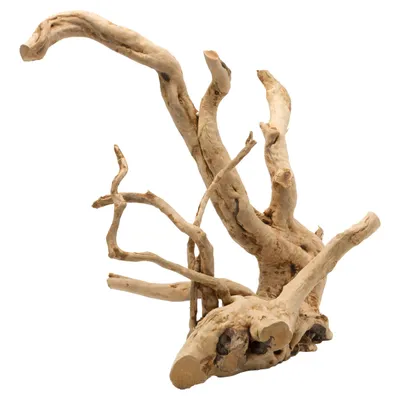 Aqua Della Aquarium Dekoration Driftwood poliert braun Aqua Della Aquarium Dekoration Driftwood poliert braun