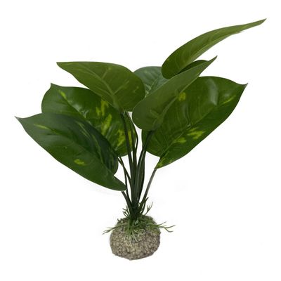 Aqua Della Aquarium Dekoration Anubias 1 grün