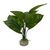Aqua Della Aquarium Dekoration Anubias 1 grün