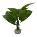 Aqua Della Aquarium Dekoration Anubias 1 grün