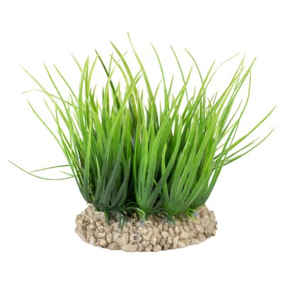 Aqua Della Helanthium grün für Aquarien
