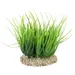 Aqua Della Helanthium grün für Aquarien