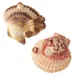 Aqua Della Aquariendekoration Sea Shell
