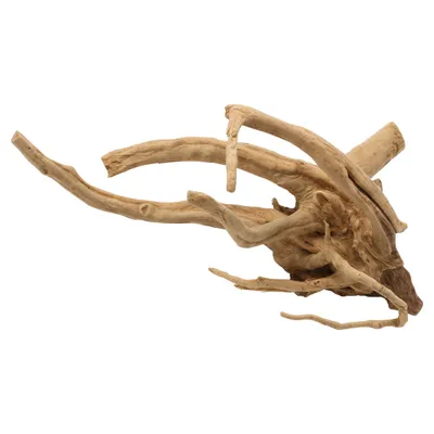 Aqua Della Aquarium Dekoration Driftwood poliert braun Aqua Della Aquarium Dekoration Driftwood poliert braun