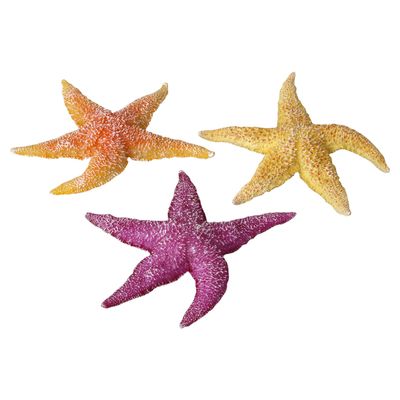 Aqua Della Aquarium Dekoration Real Sea Star