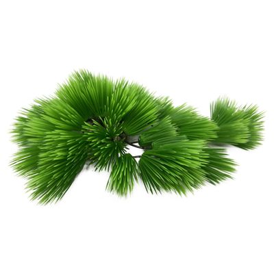 Aqua Della Aquarium Dekoration Eleocharis grün