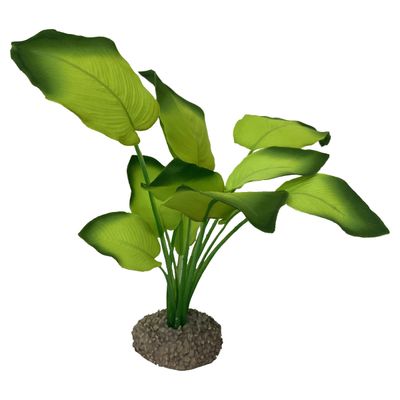 Aqua Della Aquarium Dekoration Anubias 3 grün