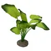 Aqua Della Aquarium Dekoration Anubias 3 grün