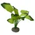 Aqua Della Aquarium Dekoration Anubias 3 grün Aqua Della Aquarium Dekoration Anubias 3 grün
