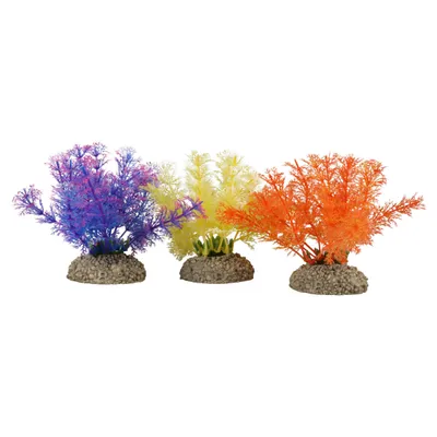 Aqua Della Aquariumpflanze Wasserfeder farbig Aqua Della Aquariumpflanze Wasserfeder farbig