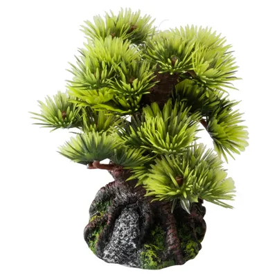 Aqua Della Aquariumdekoration Bonsai Mini Aqua Della Aquariumdekoration Bonsai Mini