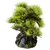 Aqua Della Aquariumdekoration Bonsai Mini Aqua Della Aquariumdekoration Bonsai Mini