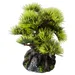 Aqua Della Aquariumdekoration Bonsai Mini