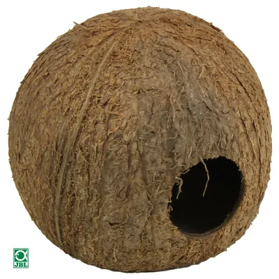 JBL Cocos Cava JBL Cocos Cava