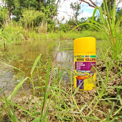 JBL PRONOVO KILLIFISH GRANO