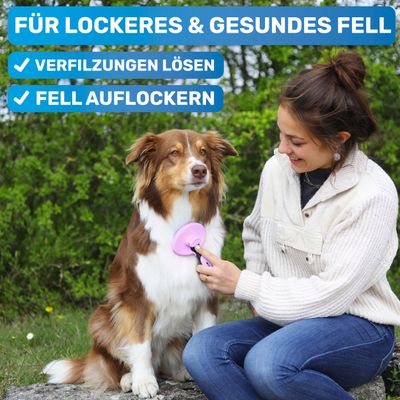 BluePet Hundebürste & Katzenbürste, Selbstreinigende Bürste für Langhaar