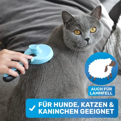 BluePet Hundebürste & Katzenbürste, Selbstreinigende Bürste für Langhaar BluePet Hundebürste & Katzenbürste, Selbstreinigende Bürste für Langhaar