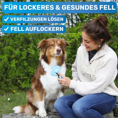 BluePet Hundebürste & Katzenbürste, Selbstreinigende Bürste für Langhaar BluePet Hundebürste & Katzenbürste, Selbstreinigende Bürste für Langhaar