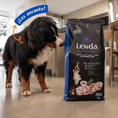 Lenda Grain Free Todo Aves Lenda Grain Free Todo Aves