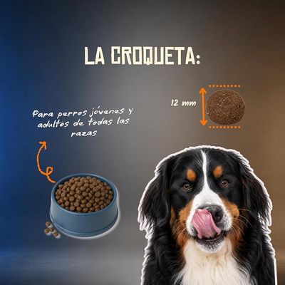Lenda Grain Free Todo Aves