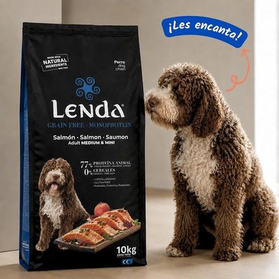 Lenda Grain Free Salmón - Monoproteico
