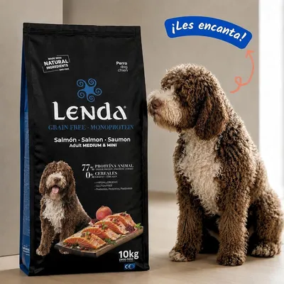 Lenda Grain Free Salmón - Monoproteico Lenda Grain Free Salmón - Monoproteico