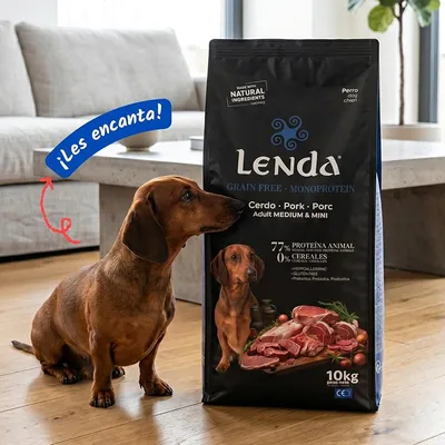 Lenda Grain Free Cerdo - Monoproteico Lenda Grain Free Cerdo - Monoproteico