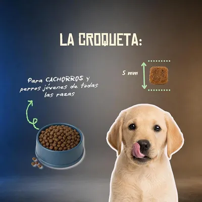 Lenda Grain Free Puppy Lenda Grain Free Puppy