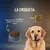 Lenda Grain Free Senior & Light Lenda Grain Free Senior & Light