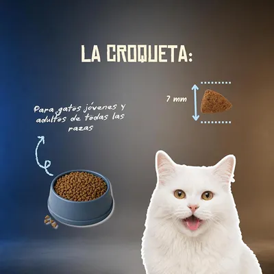Lenda Grain Free Adult Cat Delicate Lenda Grain Free Adult Cat Delicate