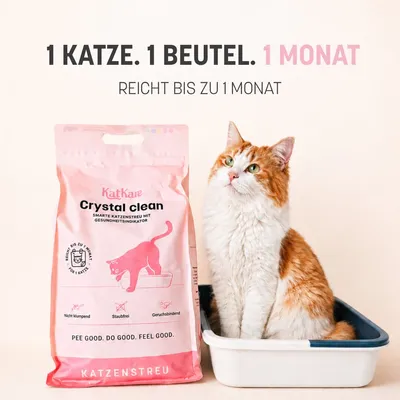 KatKare Cat Litter Crystal Clean KatKare Cat Litter Crystal Clean