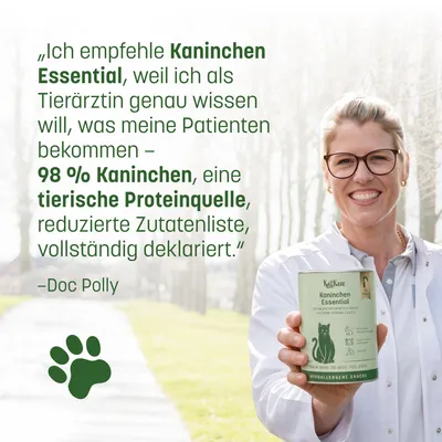KatKare Cat Treats Kaninchen Essential