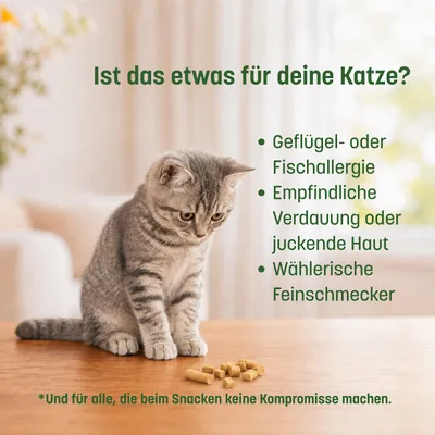 KatKare Cat Treats Kaninchen Essential
