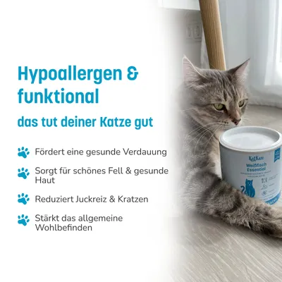 KatKare Cat Treats Schnupperbox Hypoallergene Fischgenuss KatKare Cat Treats Schnupperbox Hypoallergene Fischgenuss