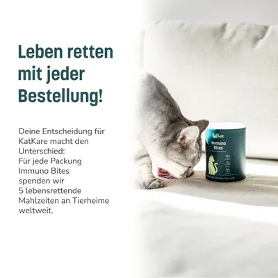 KatKare Cat Treats Immuno Bites KatKare Cat Treats Immuno Bites