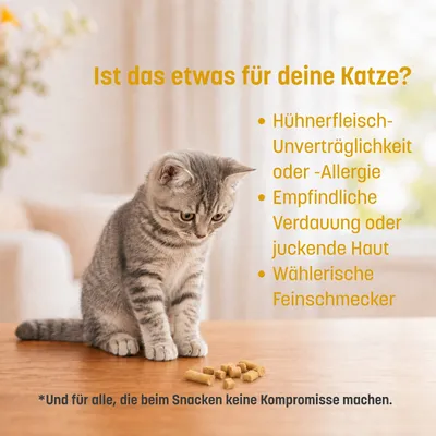 KatKare Cat Treats Ente Essential KatKare Cat Treats Ente Essential