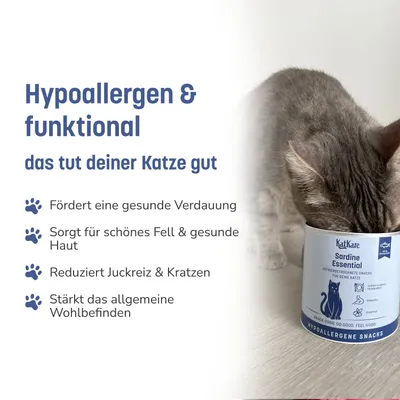 KatKare Cat Treats Schnupperbox Hypoallergene Genuss-Vielfalt KatKare Cat Treats Schnupperbox Hypoallergene Genuss-Vielfalt