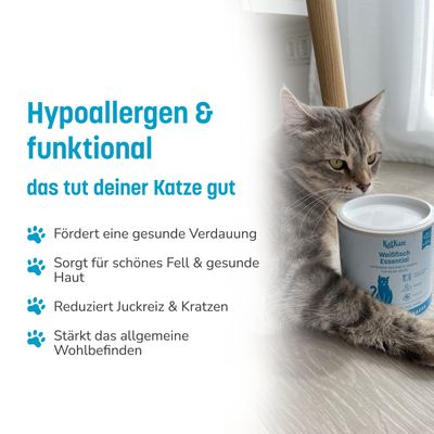 KatKare Cat Treats Box Hypoallergener Fischgenuss