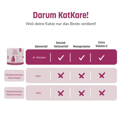 KatKare Cat Treats Box Hypoallergener Geflügelgenuss KatKare Cat Treats Box Hypoallergener Geflügelgenuss