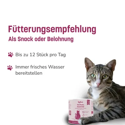 KatKare Cat Treats Box Hypoallergener Geflügelgenuss KatKare Cat Treats Box Hypoallergener Geflügelgenuss
