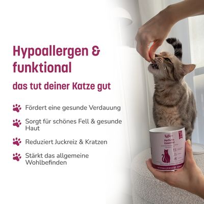 KatKare Cat Treats Box Hypoallergener Geflügelgenuss
