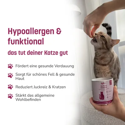 KatKare Cat Treats Box Hypoallergener Geflügelgenuss KatKare Cat Treats Box Hypoallergener Geflügelgenuss