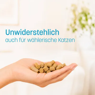 KatKare Cat Treats Weißfisch Essential