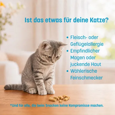KatKare Cat Treats Weißfisch Essential