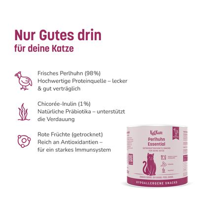 KatKare Cat Treats Schnupperbox Hypoallergener Geflügelgenuss