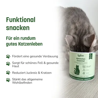 KatKare Cat Treats Schnupperbox Hypoallergene Bestseller KatKare Cat Treats Schnupperbox Hypoallergene Bestseller