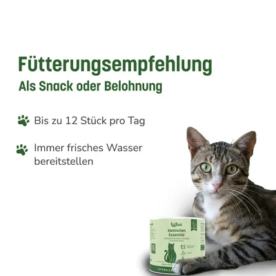 KatKare Cat Treats Schnupperbox Hypoallergene Bestseller KatKare Cat Treats Schnupperbox Hypoallergene Bestseller