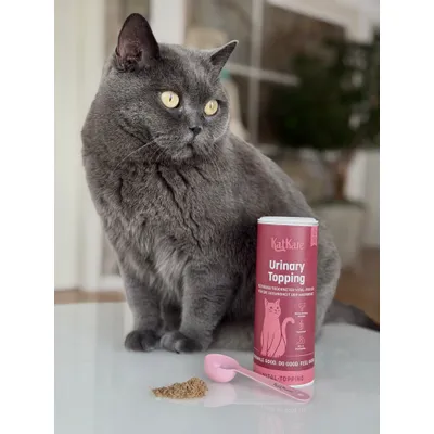 KatKare Vital Topping Schnupperbox Blase & Verdauung